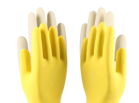 SGM_plam